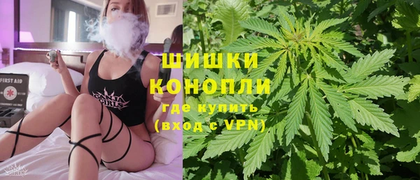 индика Арсеньев