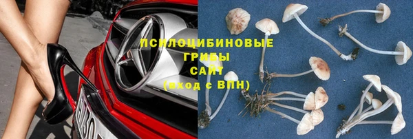шишки Аркадак